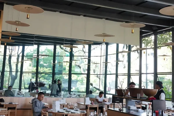 CARACOL DE MAR ACÚSTICOS